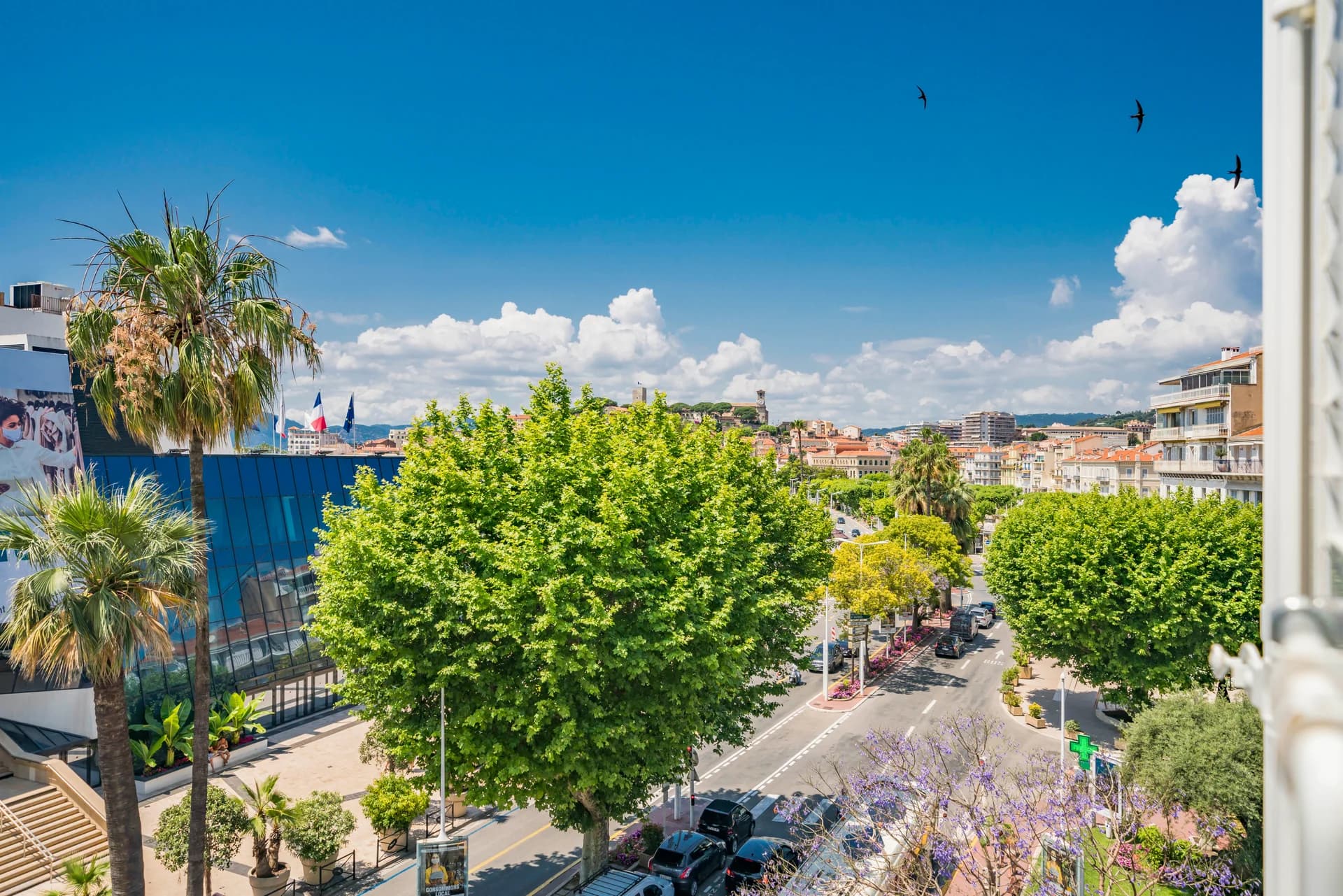 Le Palais des Festivals, les platanes de la Croisette et la baie, depuis l’appartement Cecil B. DeMille